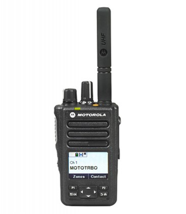 DP34